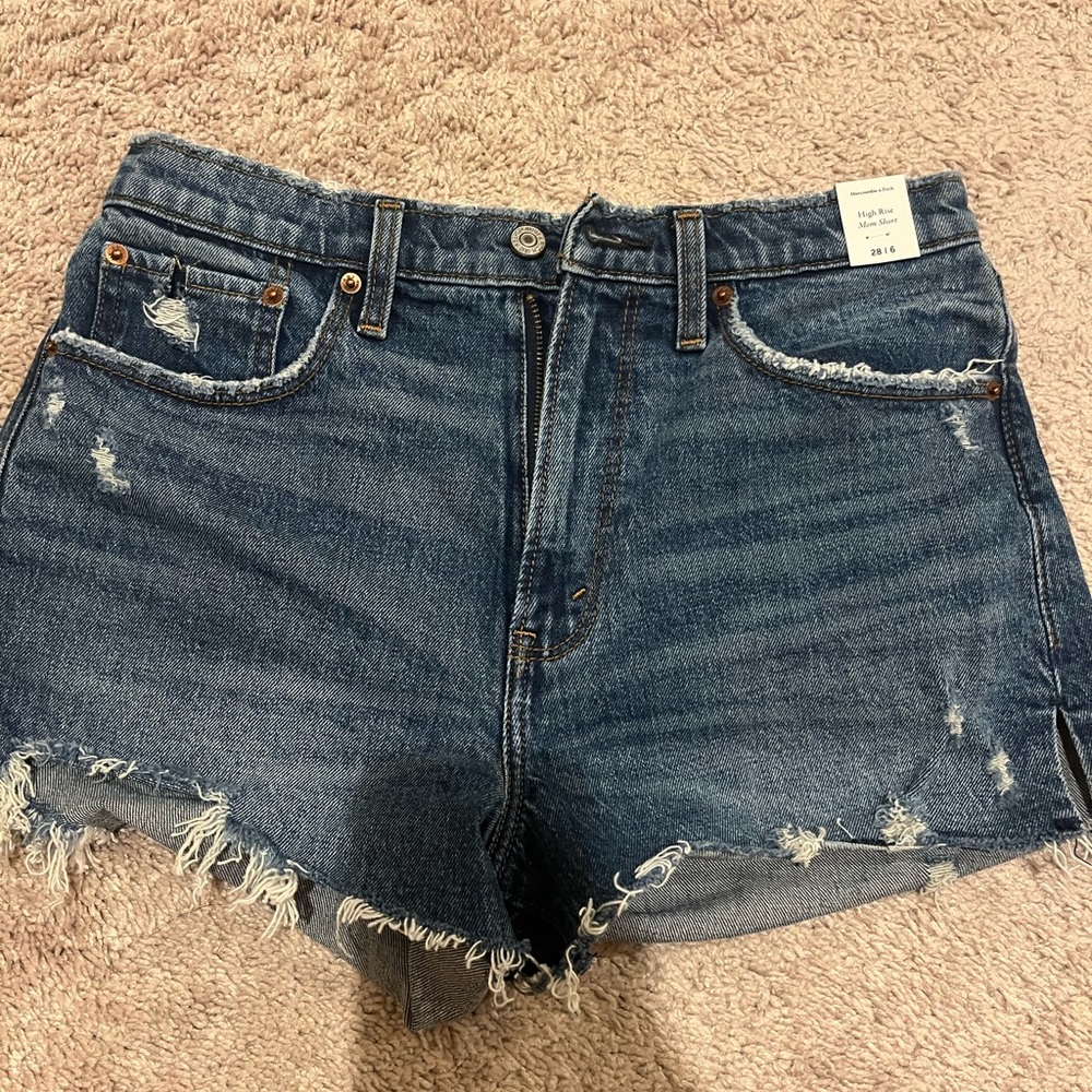 Abercrombie & Fitch High Rise Mom Shorts NWT Size 28